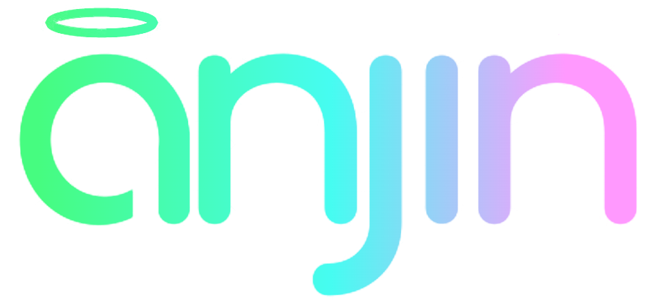 Anjin Logo